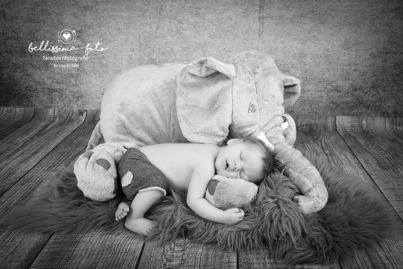 bellissima-foto-1-28